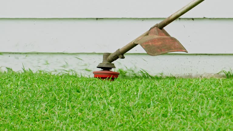 Artificial Turf Installation in Inverness, IL